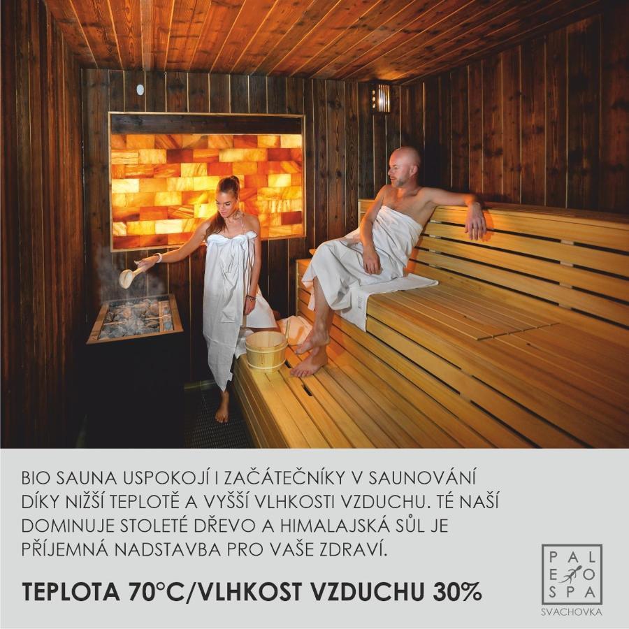 Wellness Hotel Svachovka Mírkovice Extérieur photo